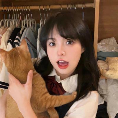 熟悉的陌生人2023封面